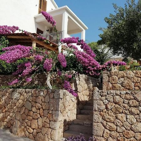 Apartmani Nila Sveta Nedelja  Exterior foto
